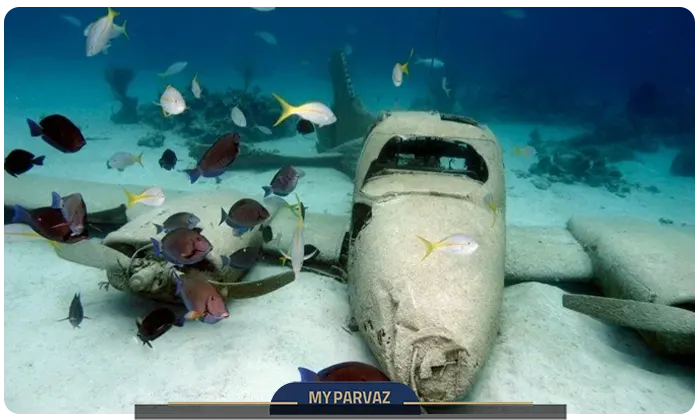 Plane wreckage at Antalya Aquarium